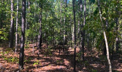 Photo of SOLD!!  6.36 Ac of Residential and Investment Land in Granville Co NC!
