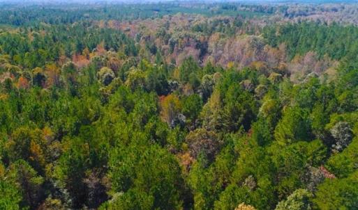 Photo of SOLD!!  6.36 Ac of Residential and Investment Land in Granville Co NC!
