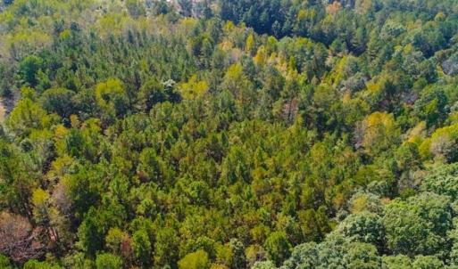 Photo of SOLD!!  6.36 Ac of Residential and Investment Land in Granville Co NC!
