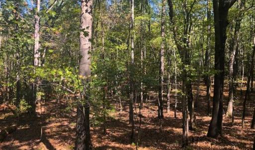 Photo of SOLD!!  6.36 Ac of Residential and Investment Land in Granville Co NC!