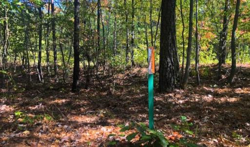 Photo of SOLD!!  6.36 Ac of Residential and Investment Land in Granville Co NC!