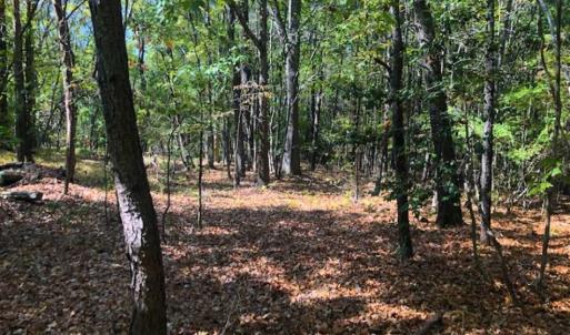 Photo of SOLD!!  6.36 Ac of Residential and Investment Land in Granville Co NC!