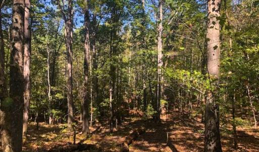 Photo of SOLD!!  6.36 Ac of Residential and Investment Land in Granville Co NC!