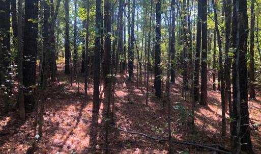 Photo of SOLD!!  6.36 Ac of Residential and Investment Land in Granville Co NC!