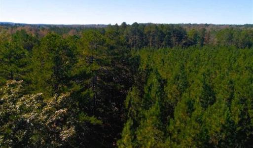 Photo of SOLD!!  6.36 Ac of Residential and Investment Land in Granville Co NC!