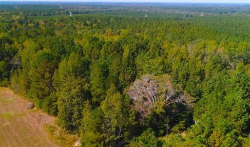Photo of SOLD!!  6.36 Ac of Residential and Investment Land in Granville Co NC!