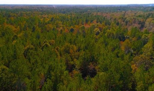 Photo of SOLD!!  6.36 Ac of Residential and Investment Land in Granville Co NC!
