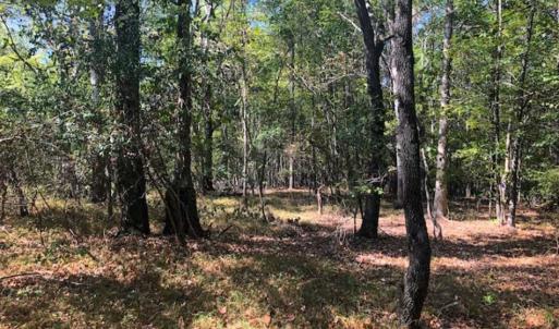 Photo of SOLD!!  6.36 Ac of Residential and Investment Land in Granville Co NC!