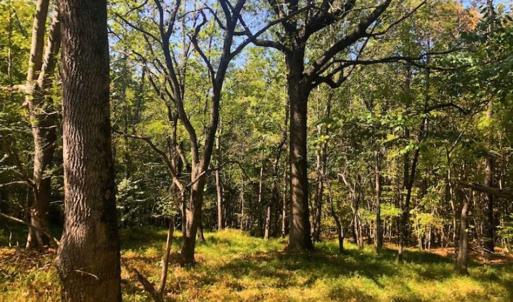 Photo of SOLD!!  6.36 Ac of Residential and Investment Land in Granville Co NC!