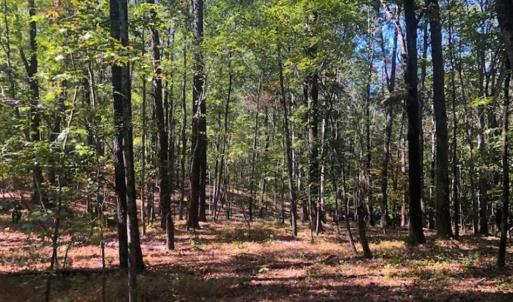 Photo of SOLD!!  6.36 Ac of Residential and Investment Land in Granville Co NC!