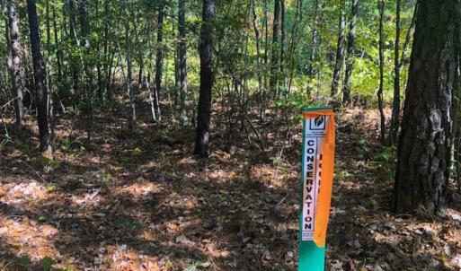 Photo of SOLD!!  6.36 Ac of Residential and Investment Land in Granville Co NC!