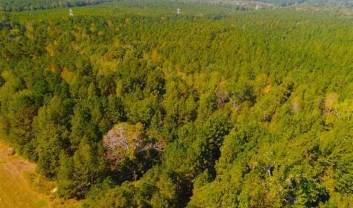 Photo of SOLD!!  6.36 Ac of Residential and Investment Land in Granville Co NC!