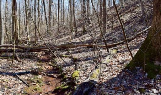 Photo of SOLD!!  5 Acres of Residential Lake & Hunting Land in Bedford County VA!