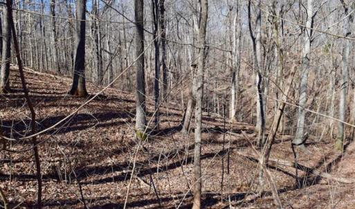 Photo of SOLD!!  5 Acres of Residential Lake & Hunting Land in Bedford County VA!