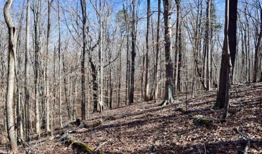 Photo of SOLD!!  5 Acres of Residential Lake & Hunting Land in Bedford County VA!