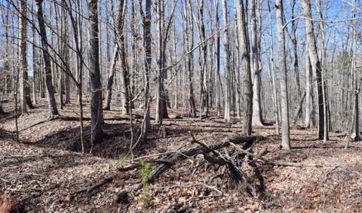 Photo of SOLD!!  5 Acres of Residential Lake & Hunting Land in Bedford County VA!