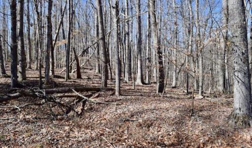 Photo of SOLD!!  5 Acres of Residential Lake & Hunting Land in Bedford County VA!