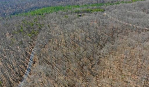 Photo of SOLD!!  5 Acres of Residential Lake & Hunting Land in Bedford County VA!