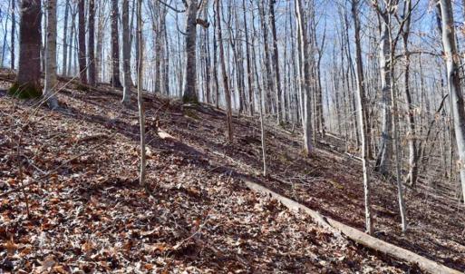 Photo of SOLD!!  5 Acres of Residential Lake & Hunting Land in Bedford County VA!