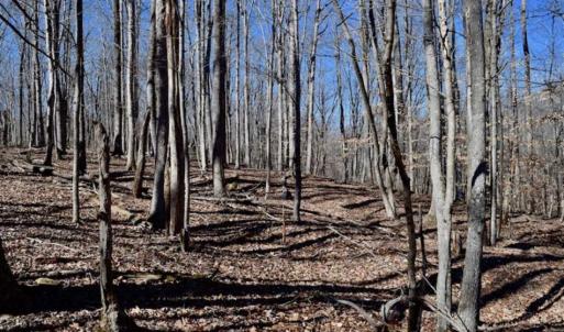 Photo of SOLD!!  5 Acres of Residential Lake & Hunting Land in Bedford County VA!