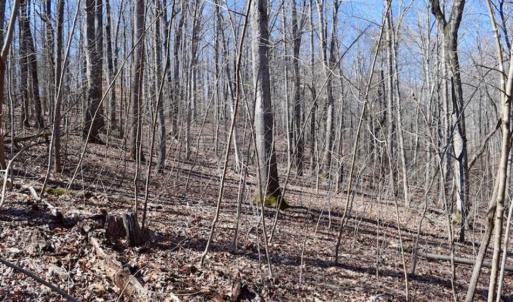 Photo of SOLD!!  5 Acres of Residential Lake & Hunting Land in Bedford County VA!