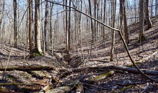 Photo of SOLD!!  5 Acres of Residential Lake & Hunting Land in Bedford County VA!