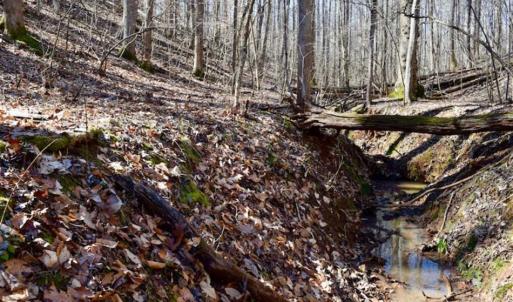 Photo of SOLD!!  5 Acres of Residential Lake & Hunting Land in Bedford County VA!