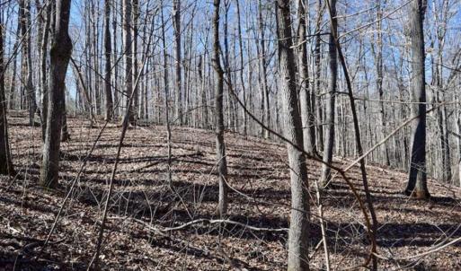 Photo of SOLD!!  5 Acres of Residential Lake & Hunting Land in Bedford County VA!