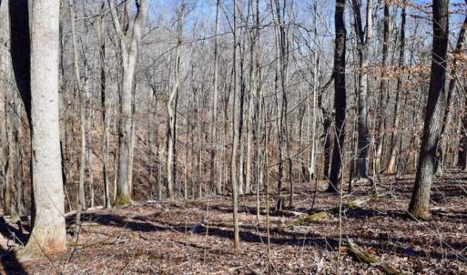 Photo of SOLD!!  5 Acres of Residential Lake & Hunting Land in Bedford County VA!