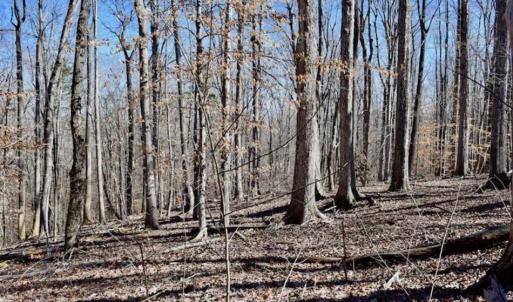 Photo of SOLD!!  5 Acres of Residential Lake & Hunting Land in Bedford County VA!