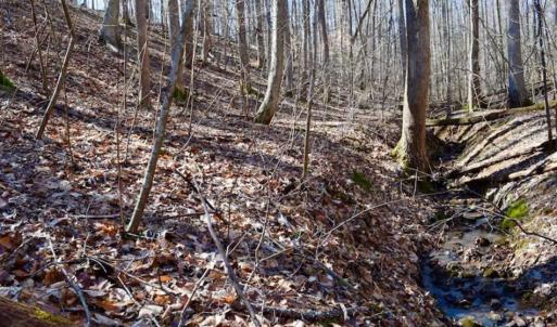 Photo of SOLD!!  5 Acres of Residential Lake & Hunting Land in Bedford County VA!