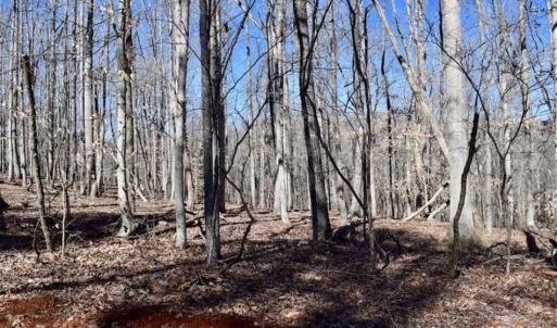 Photo of SOLD!!  5 Acres of Residential Lake & Hunting Land in Bedford County VA!