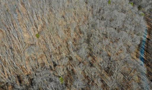 Photo of SOLD!!  5 Acres of Residential Lake & Hunting Land in Bedford County VA!