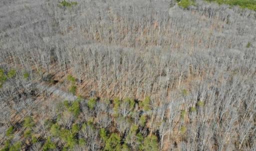 Photo of SOLD!!  5 Acres of Residential Lake & Hunting Land in Bedford County VA!