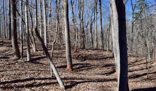 Photo of SOLD!!  5 Acres of Residential Lake & Hunting Land in Bedford County VA!