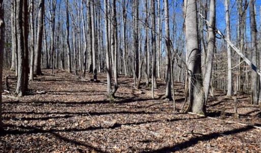 Photo of SOLD!!  5 Acres of Residential Lake & Hunting Land in Bedford County VA!