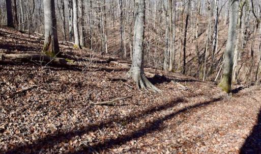 Photo of SOLD!!  5 Acres of Residential Lake & Hunting Land in Bedford County VA!