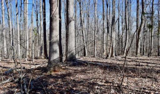 Photo of SOLD!!  5 Acres of Residential Lake & Hunting Land in Bedford County VA!