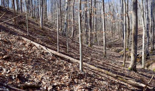 Photo of SOLD!!  5 Acres of Residential Lake & Hunting Land in Bedford County VA!