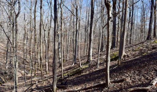 Photo of SOLD!!  5 Acres of Residential Lake & Hunting Land in Bedford County VA!
