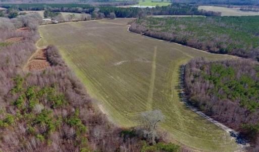 Photo of SOLD!!  121.43 Acres of Farm and Timber Land For Sale in Edgecombe County NC!