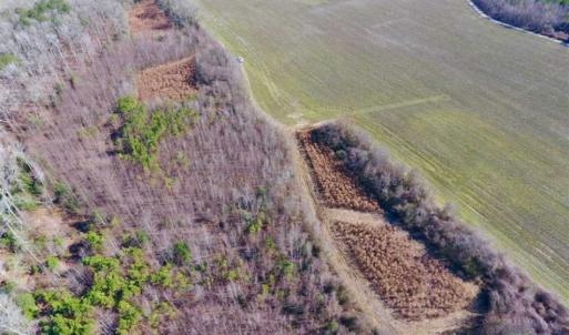 Photo of SOLD!!  121.43 Acres of Farm and Timber Land For Sale in Edgecombe County NC!