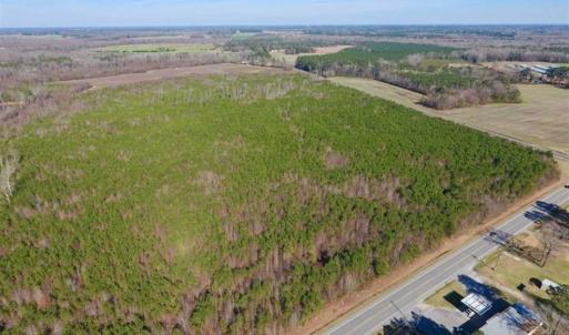 Photo of SOLD!!  121.43 Acres of Farm and Timber Land For Sale in Edgecombe County NC!