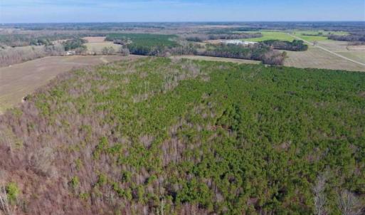 Photo of SOLD!!  121.43 Acres of Farm and Timber Land For Sale in Edgecombe County NC!