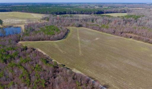 Photo of SOLD!!  121.43 Acres of Farm and Timber Land For Sale in Edgecombe County NC!