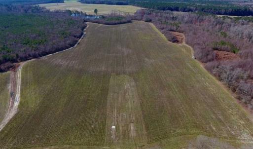 Photo of SOLD!!  121.43 Acres of Farm and Timber Land For Sale in Edgecombe County NC!