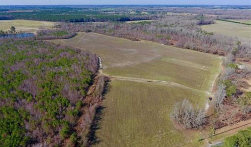 Photo of SOLD!!  121.43 Acres of Farm and Timber Land For Sale in Edgecombe County NC!