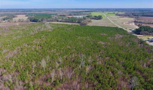 Photo of SOLD!!  121.43 Acres of Farm and Timber Land For Sale in Edgecombe County NC!