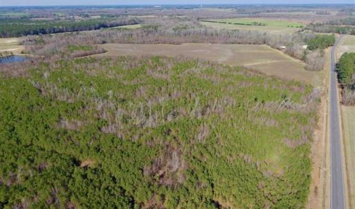 Photo of SOLD!!  121.43 Acres of Farm and Timber Land For Sale in Edgecombe County NC!