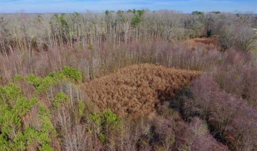 Photo of SOLD!!  121.43 Acres of Farm and Timber Land For Sale in Edgecombe County NC!
